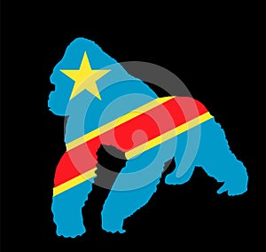 Democratic republic Congo flag over Gorilla monkey vector silhouette illustration isolated on black background.