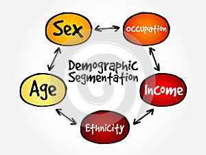Demographic segmentation mind map