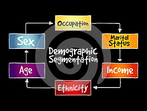 Demographic segmentation mind map flowchart