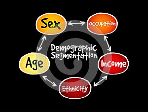 Demographic segmentation mind map flowchart