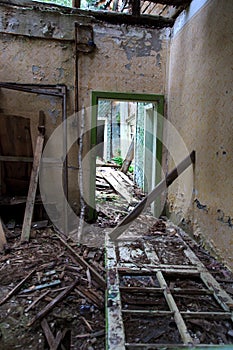 Demolished house in a middle of forest