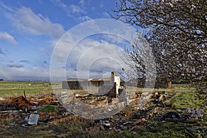 Demolished Wartime buildings beside a flowering Hawthorn Tree at Stracathro Airfield