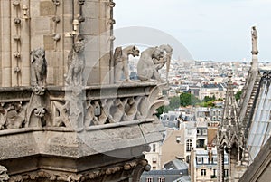 Demon, Dog, Heron and grotesque Gargoyles of Notre Dame photo