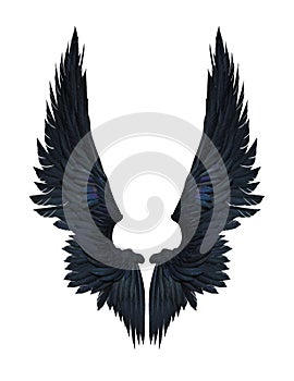 Demon Wings, Black Wing Plumage Isolated on White