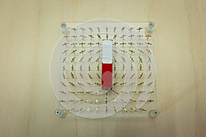 Demonstration of magnetic field lines in physics class