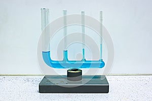 Demonstration in physics class of capillary action