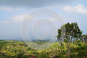 Dempo Mountain photo