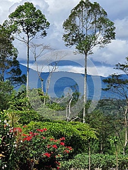 Dempo mountain valley, South Sumatra photo