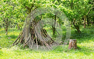 Den building in deciduous woodland