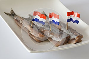 Den Helder, Netherlands. June 2022. Fresh raw herring on a white plate. Isolated. selective focus.