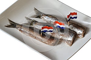 Den Helder, Netherlands. June 2022. Fresh raw herring on a white plate. Isolated. selective focus.