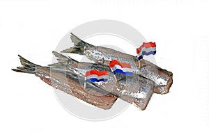 Den Helder, Netherlands. june 2022. Raw herring isolated on white background.