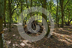 A den made form fallen branches in a clearing in Sherwood Forest