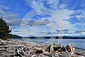Den on Rebecca Spit Beach, Quadra Island, British Columbia.