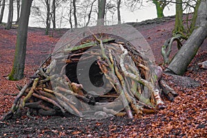 Den in the woods in England