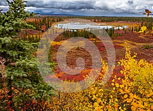 Denali Highway Alaskan Wilderness in Autumn