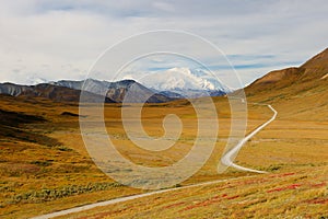 The Denali Mount Peak covered by snow at early morning at Denali National Park. The peak s 20,310-ft.-high Denali fka Mount McKin