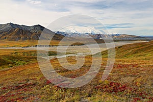 The Denali Mount Peak covered by snow at early morning at Denali National Park. The peak s 20,310-ft.-high Denali fka Mount McKin