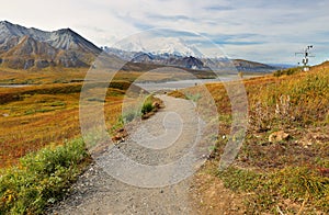 The Denali Mount Peak covered by snow at early morning at Denali National Park.