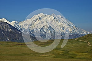 Denali Mt McKinley Mountain photo