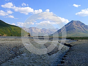 Denali National Park - Alaska