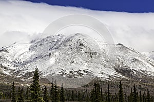 Denali National Park landscape