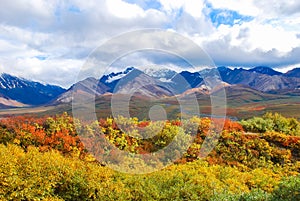 Denali National Park Landscape