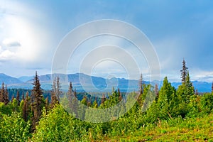 Denali National Park, Pacific north west mountains, Alaska Landscape Photography