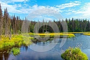 Denali National Park, Pacific north west mountains, Alaska Landscape Photography