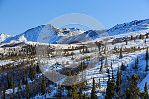 Denali National Park and Preserve