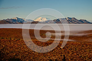 Denali national park tundra at foggy morning, Alaska