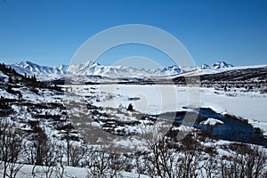 Denali's Savage River at Breakup