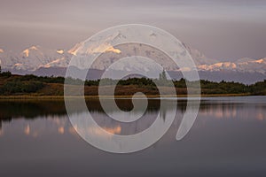 Denali at sunrise in Fall color near reflection pond, Denali NP, Alaska, U.S.A