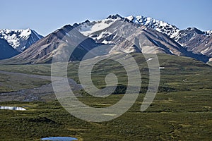 Denali Tundra