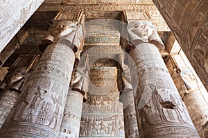 Dendera temple in egypt photo