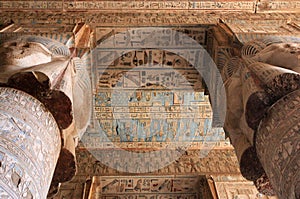 Dendera Temple Ruins photo