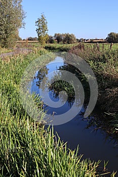 Denderbellebroek nature reserve, Belgium