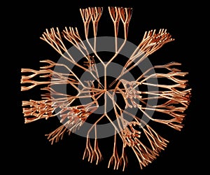 Dendrimers are highly ordered, branched polymeric molecules for drug delivery photo