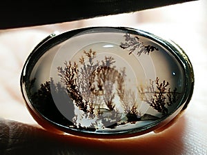 Dendrite Agate Chalcedony - Aquascape Motif