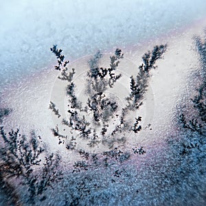 Dendrite crystal macro