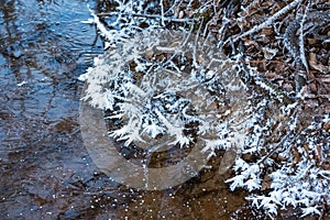 Dendrite crystals formed on the icy surface of forest lake. Close-up,  beautiful natural phenomenon