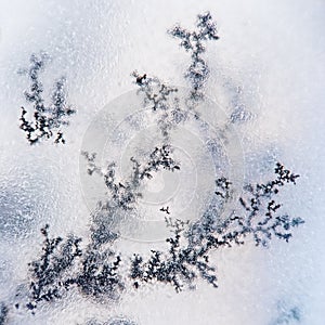 Dendrite crystals macro