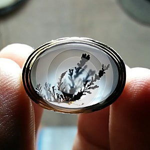 Dendritic Agate Stone