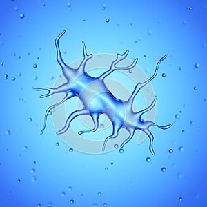 A dendritic cell