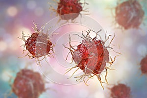 Dendritic cell, antigen-presenting immune cell