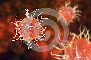 Dendritic cell, antigen-presenting immune cell, illustration