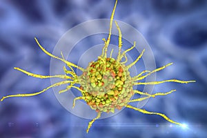 Dendritic cell, antigen-presenting immune cell