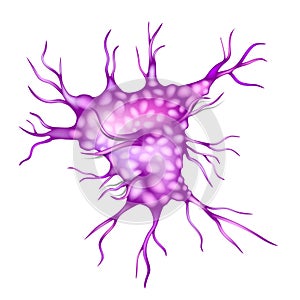 Dendritic cell or DC is an antigen-presenting cell. Immune system