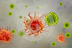 Dendritic cells binding viruses