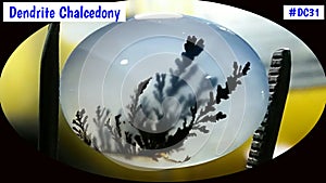 Dendritic Pictorial Agate Stone